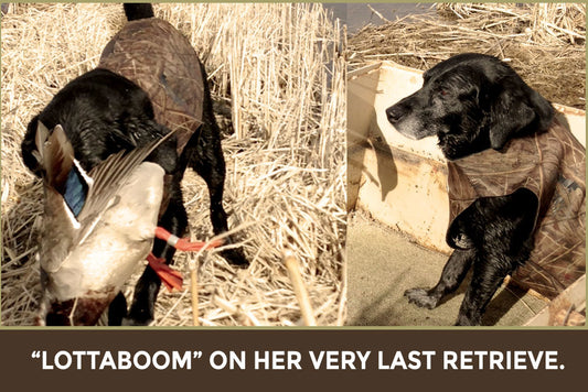 The Last Retrieve