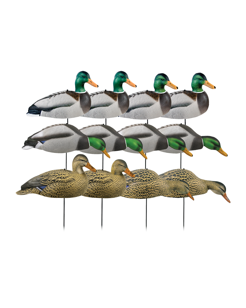 GHG Hunter Series Over Size Mallard Shell Decoys – Banded