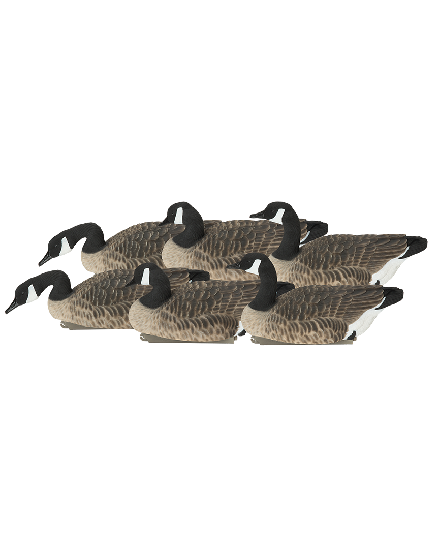 GHG Pro-Grade XD Canada Floater Harvester PackDecoys – Banded