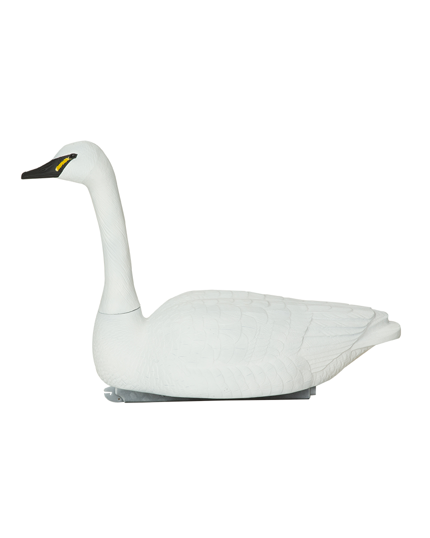 GHG White Swans - 2 Pack – Banded