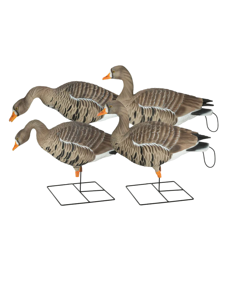GHG Pro-Grade XD FFD (Fully Flocked) Full Body Specklebelly Decoys