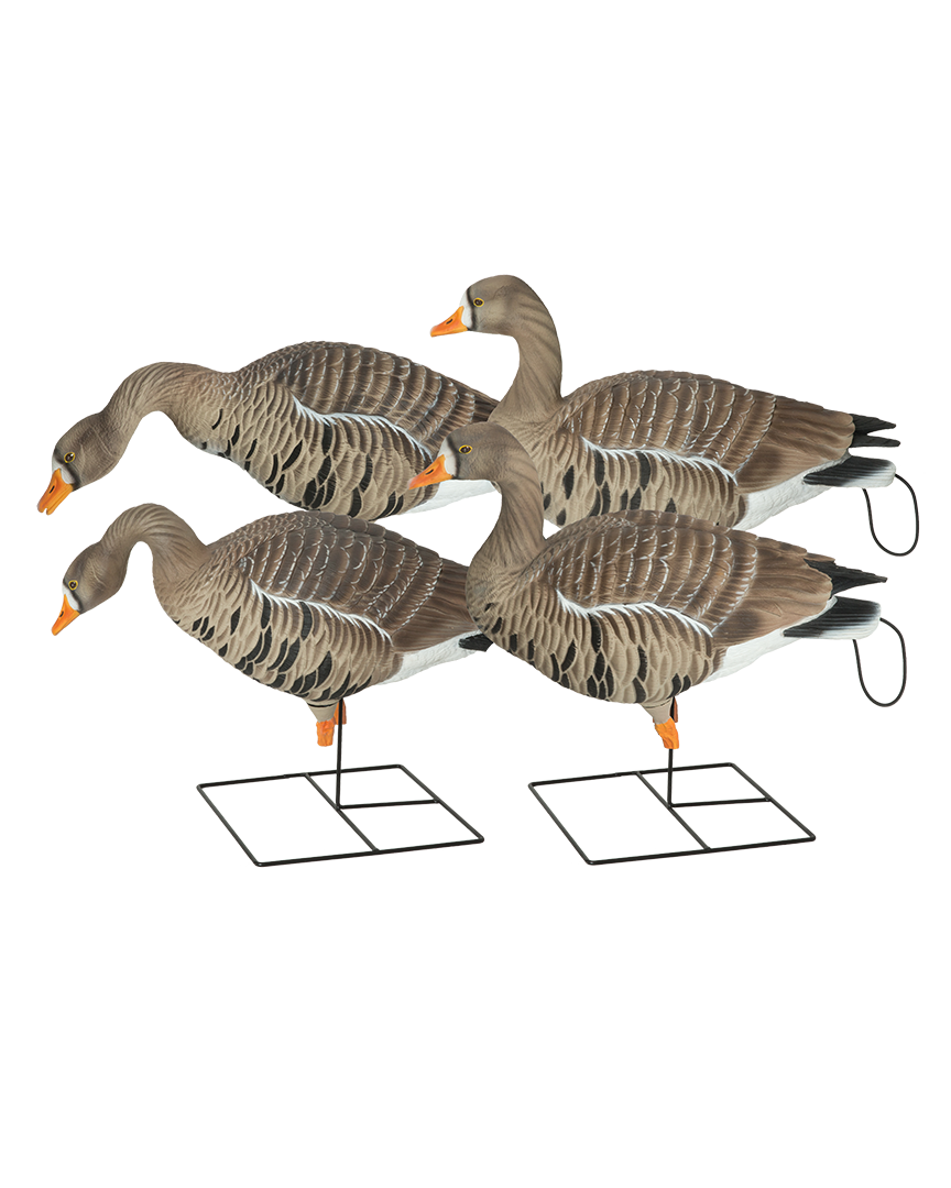 GHG Pro-Grade XD Full Body Specklebelly Decoys 4-Pack – Banded