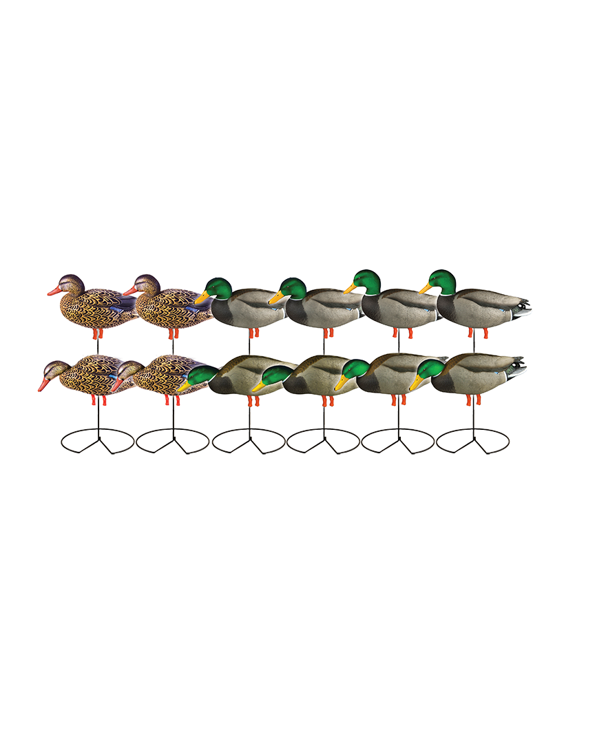 Pro-Grade Flocked Head Mallard Harvester Pack – Banded Pro-Grade Flocked Head Mallard Harvester Pack – Banded