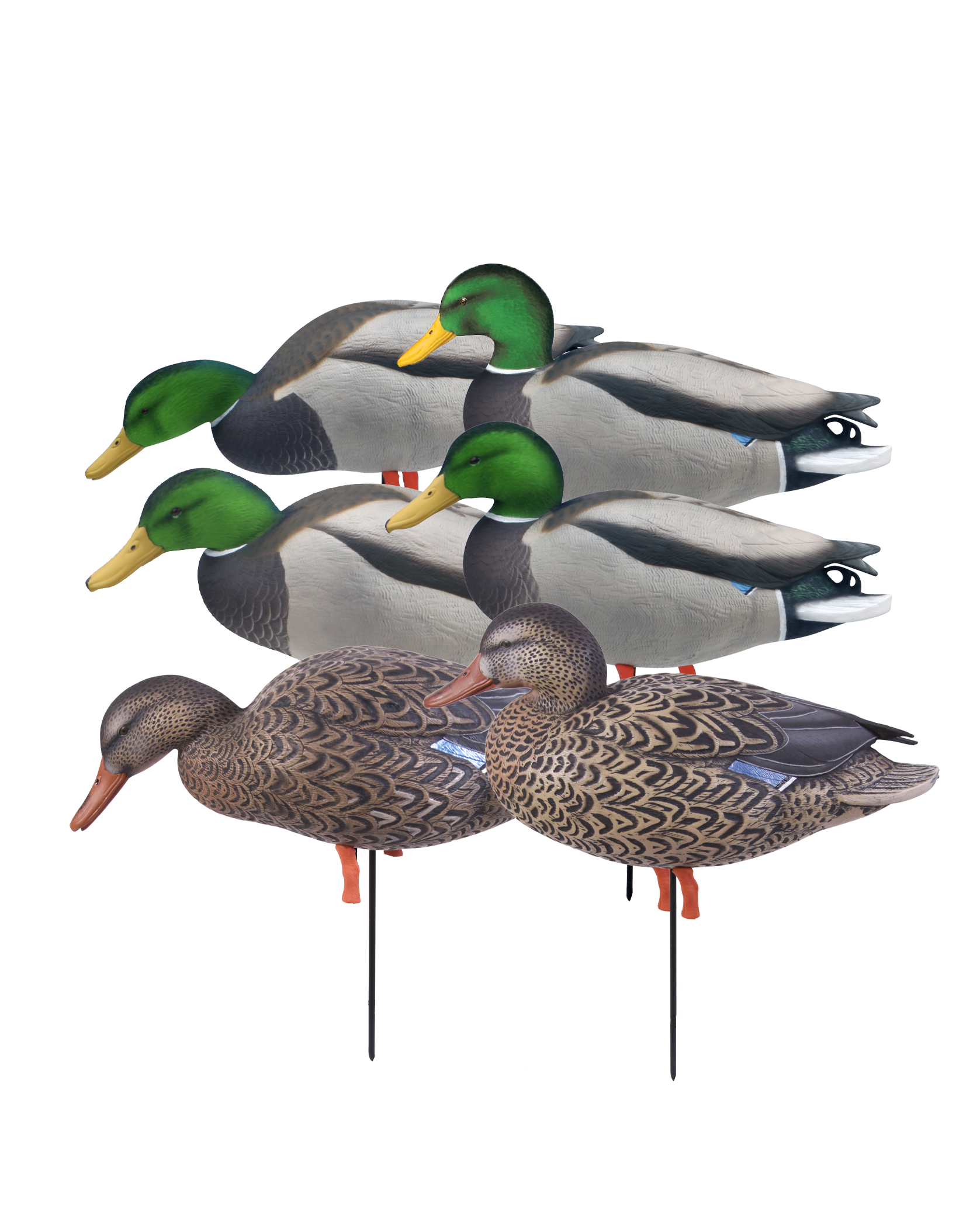 FFD Elite Full Body Mallard Harvester Pack – Banded FFD Elite Full Body Mallard Harvester Pack – Banded