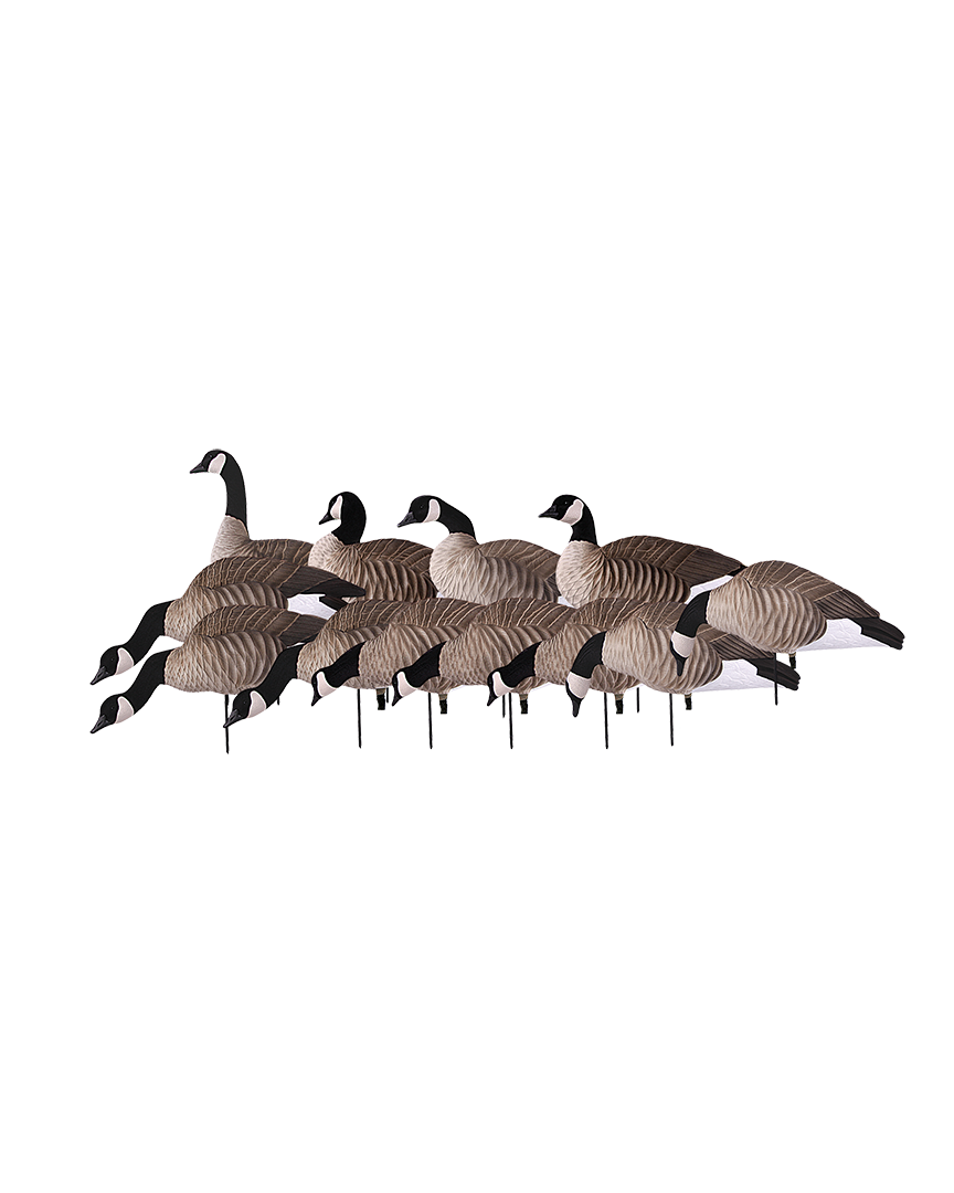 GHG Pro-Grade Lesser Canada Harvester Pack Decoys – Banded