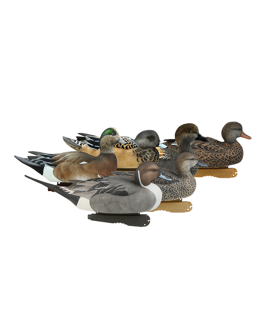 G0128-25★DARK DUCKS ALL COLLECTION 2枚組 GHG Hunter Series Over Size Black Duck Decoys – Banded