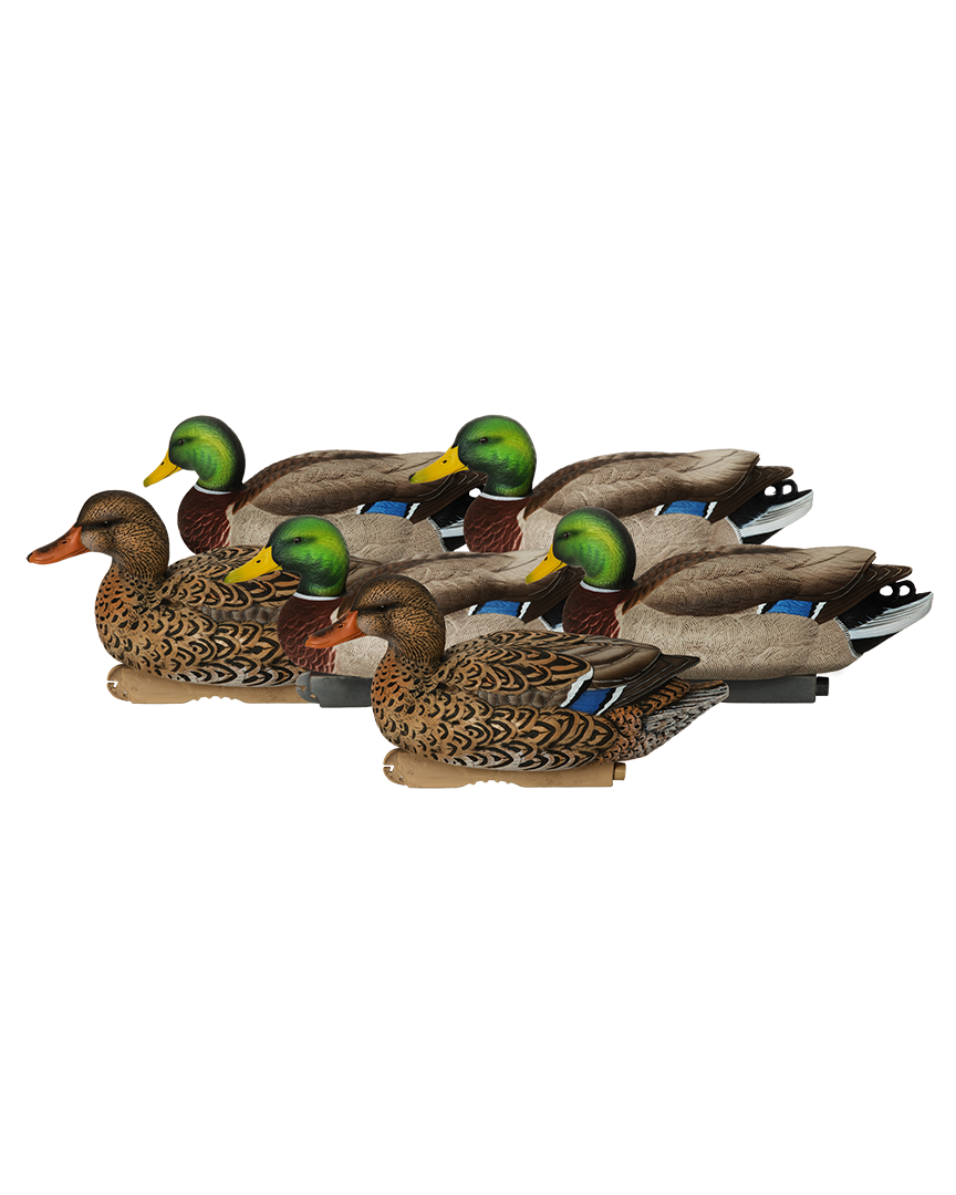 Pro-Grade XD Series Mallards-Active Pack - Banded Hunting Gear
