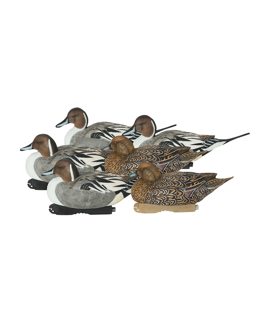 GHG Pro-Grade XD Series Pintail Harvester Pack Decoys – Banded