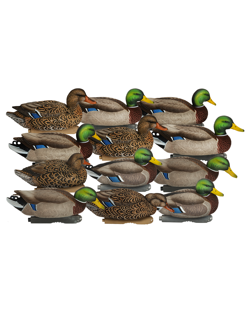 Pro-Grade XD Series Mallards-Harvester 12-Pack - Banded Hunting Gear