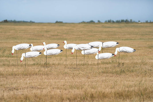 PG_Snow_Goose_Windsock_With_Head_Flock