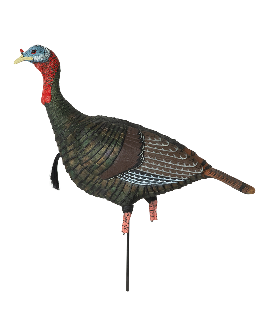GHG Pro Grade XD Upright Jake Turkey Decoy – Banded
