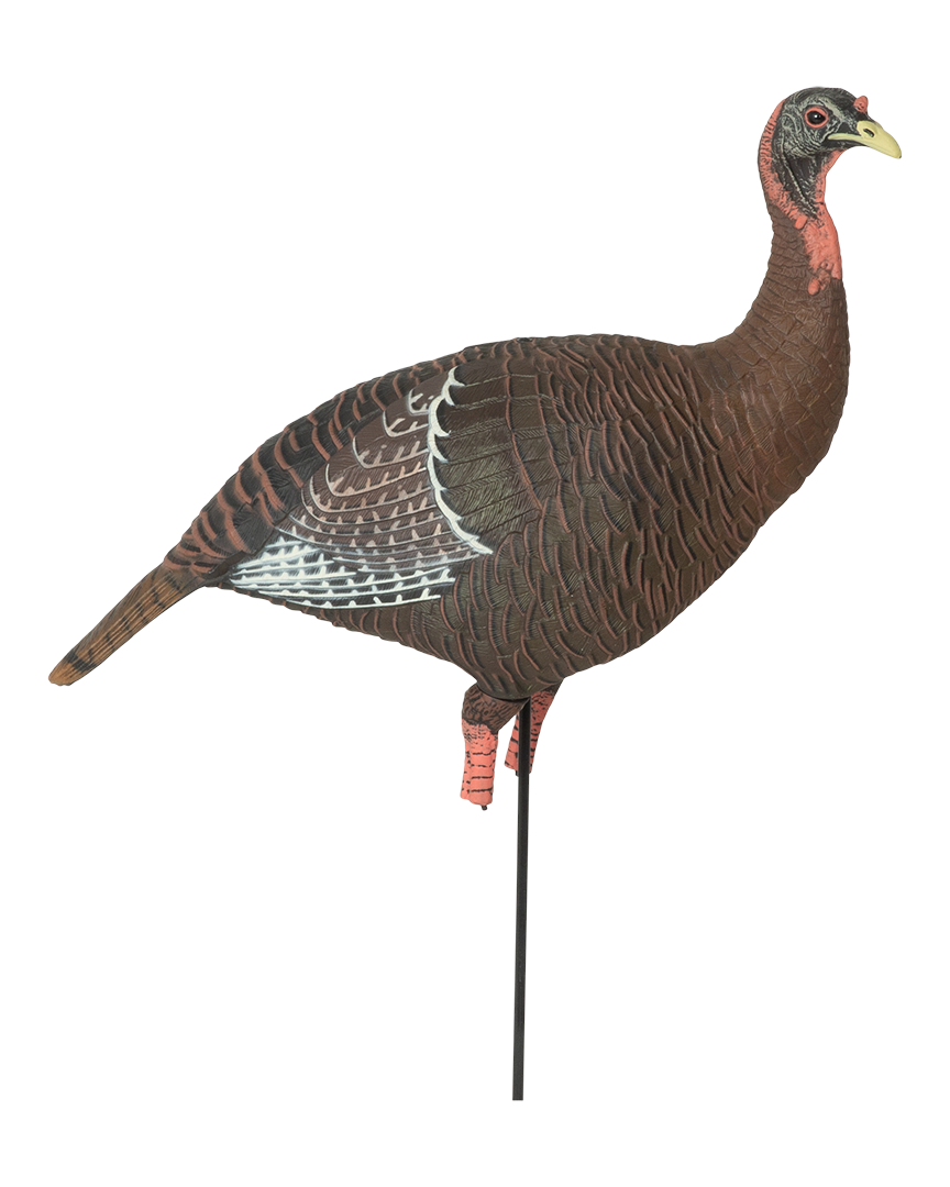 GHG Pro Grade XD Upright Hen Turkey Decoy – Banded