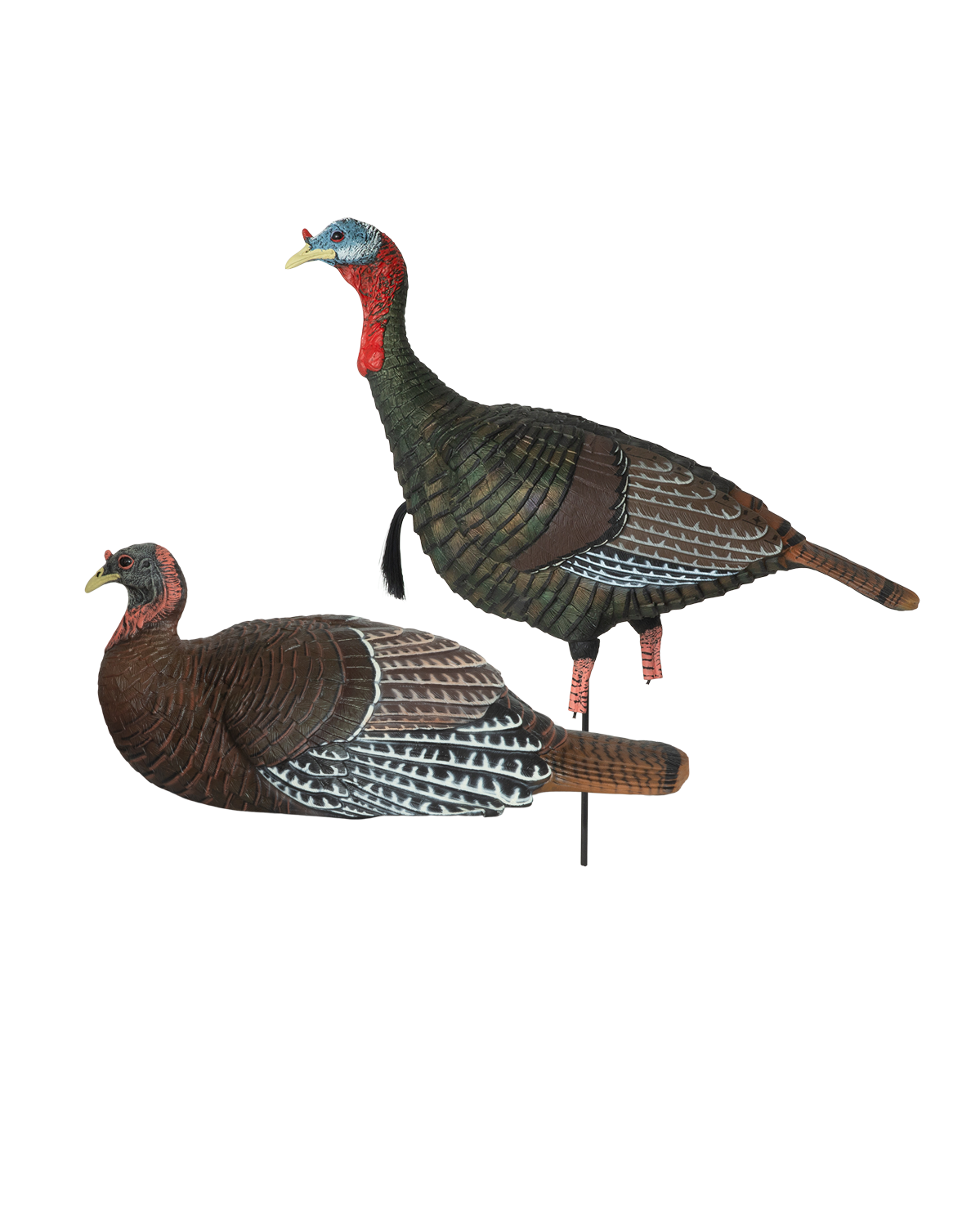 GHG Pro Grade XD Laydown Hen/Jake Combo Turkey Decoy – Banded