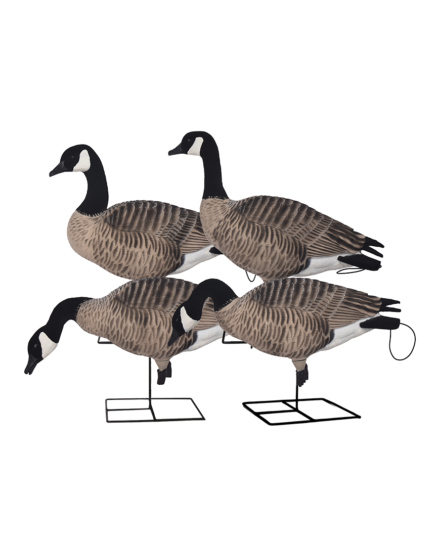GHG XD FFD Full Body Canada Goose Decoys - Harvester Pack – Banded