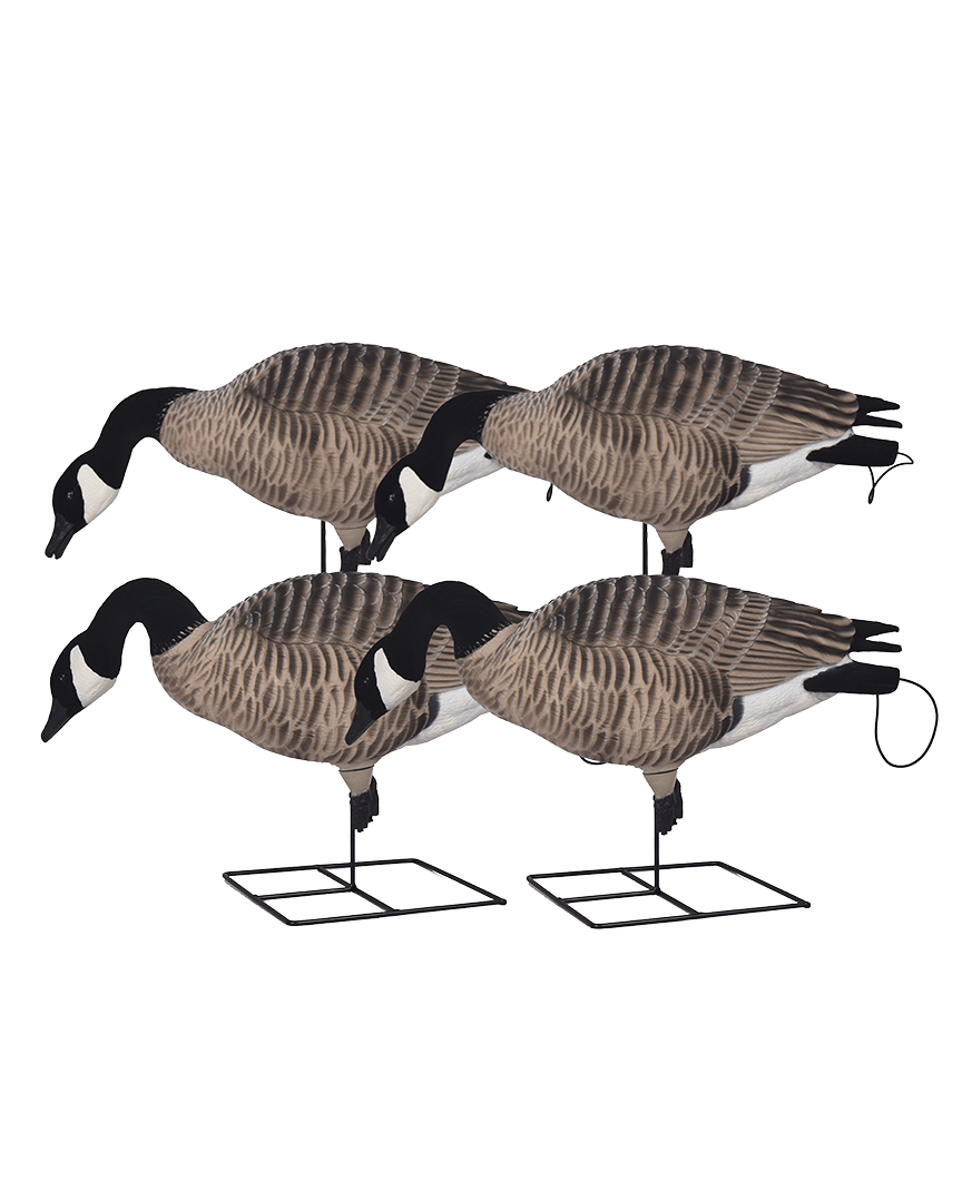 GHG XD FFD Full Body Canada Goose Decoys Feeder Pack Banded