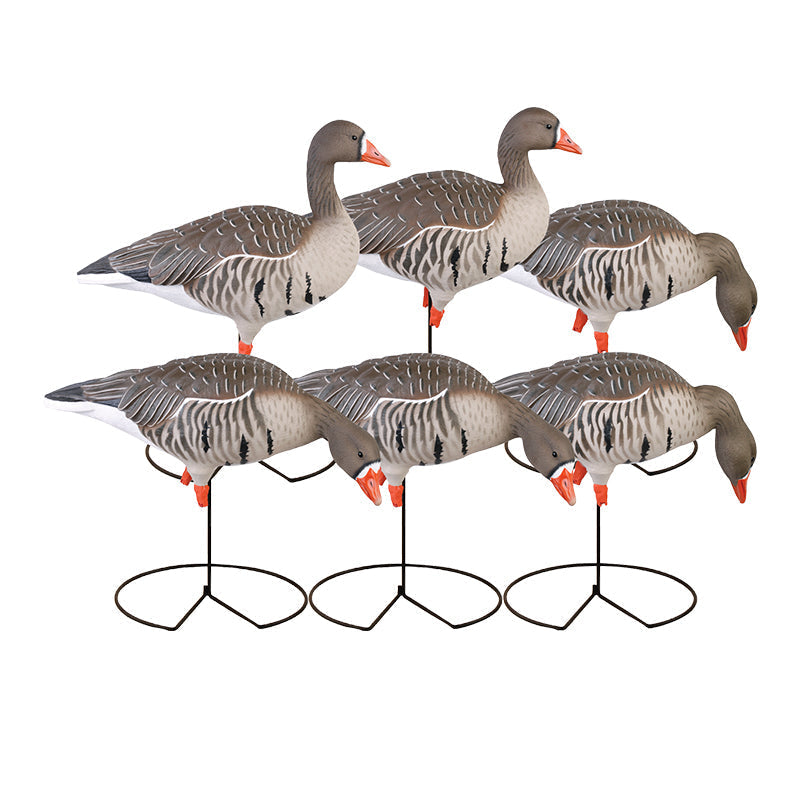 Higdon FLATS Specklebelly Goose Motion Silhouette Decoys 12 Pack