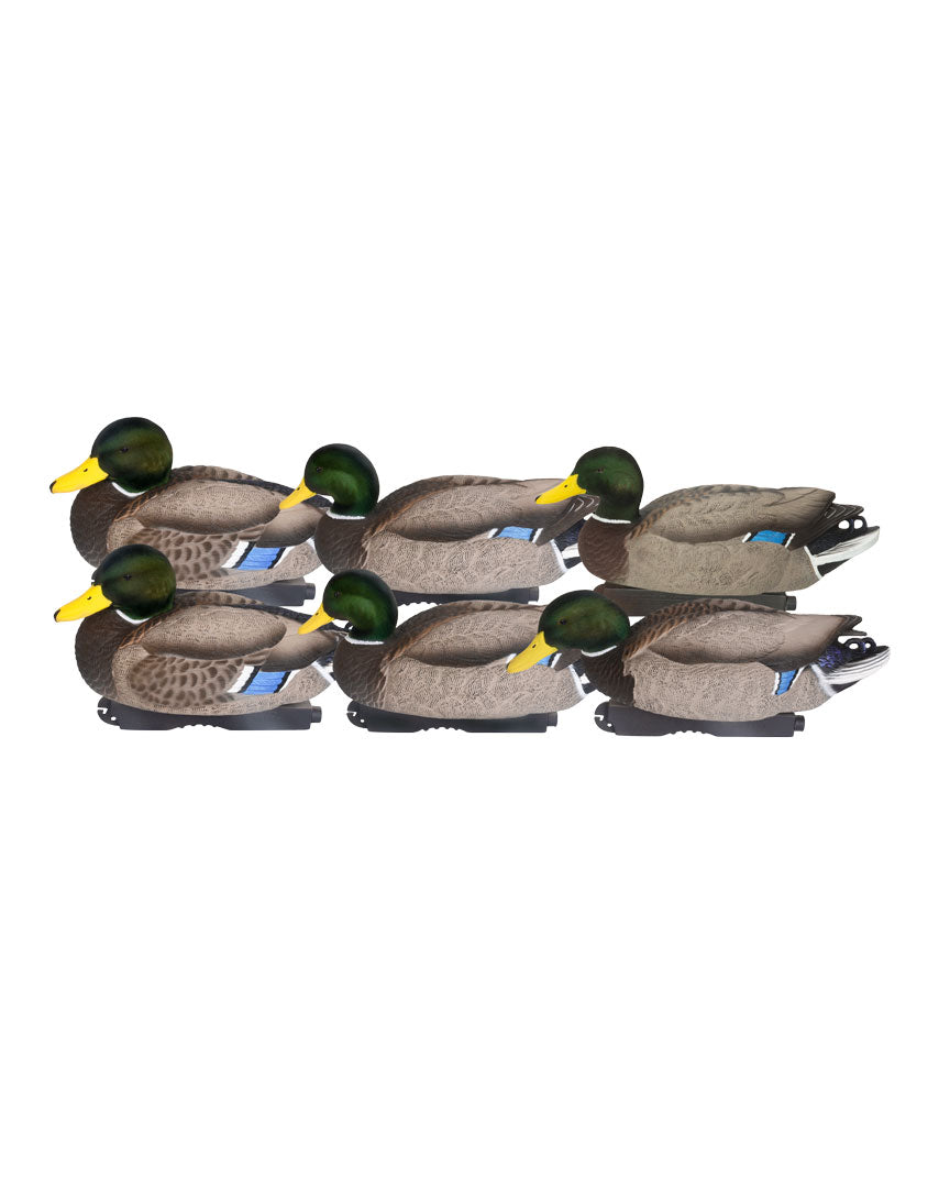 GHG Pro Grade XD Series All Drake Mallards With Flocked Heads – Banded