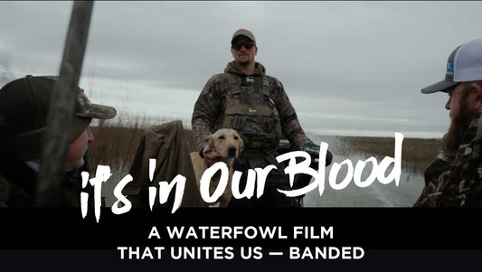 It's In Our Blood - A Waterfowl Film That Unites Us