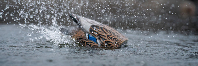 Shop All Motion Decoys