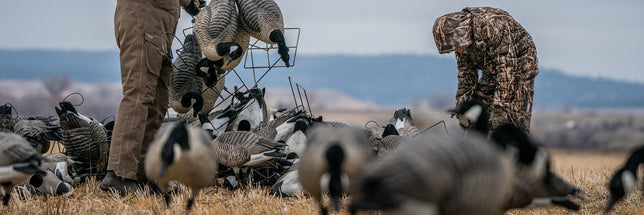 Pursuit Goose
