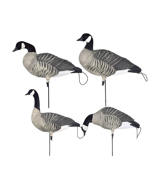 Pro-Flex Full Body-Honker Harvester Pack (Dozen)