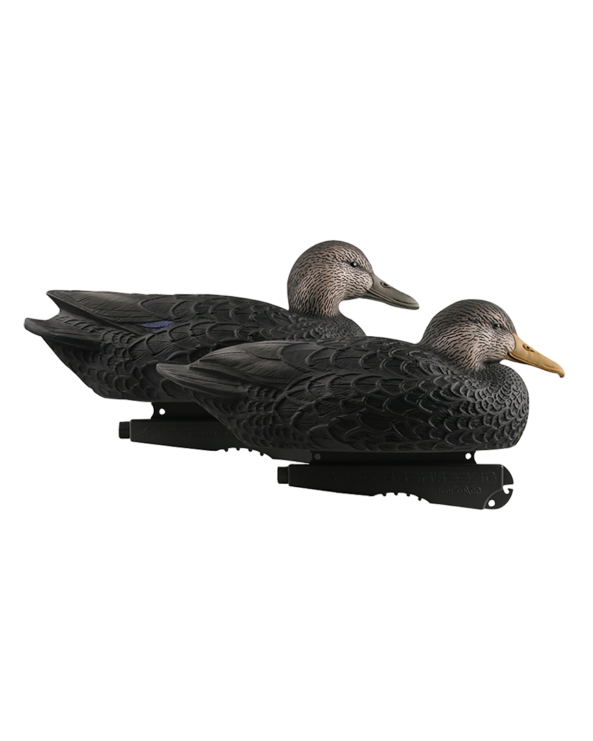 G0128-25★DARK DUCKS ALL COLLECTION 2枚組 GHG Hunter Series Over Size Black Duck Decoys – Banded