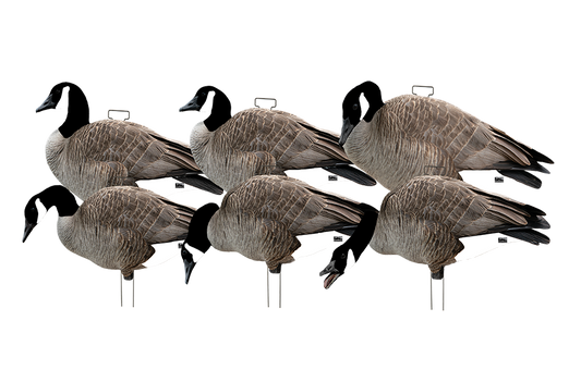 GHG Pro-Grade Silhouette Canada Goose Decoys
