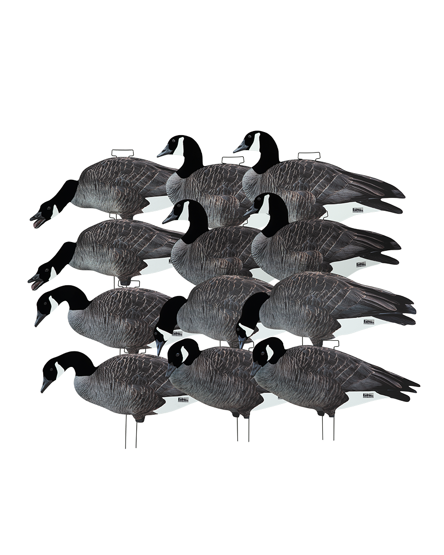 GHG Pro Grade FFD Canada Goose Silhouette Decoys – Banded