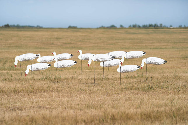 PG_Snow_Goose_Windsock_With_Head_Flock