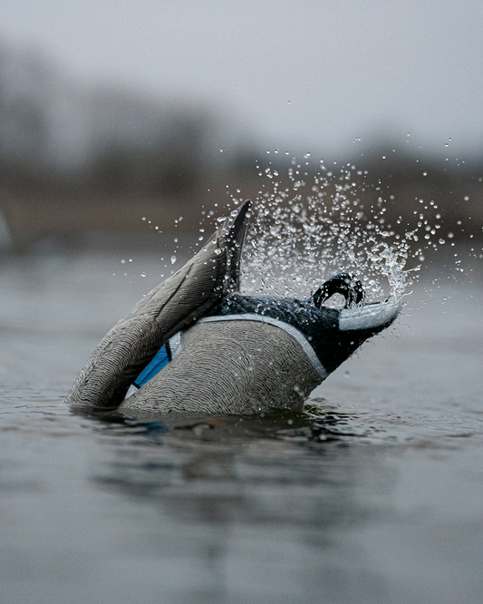 Need some new neoprene gloves for decoy retrieving, Page 3