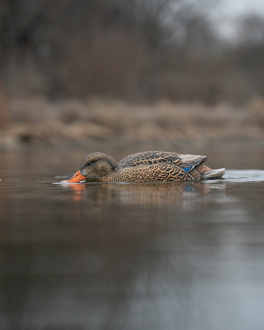 GHG Flocking Kit - Tan - Repair Your Flock Decoys