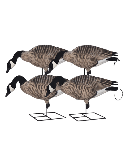 GHG XD FFD Full Body Canada Goose Decoys Feeder Pack