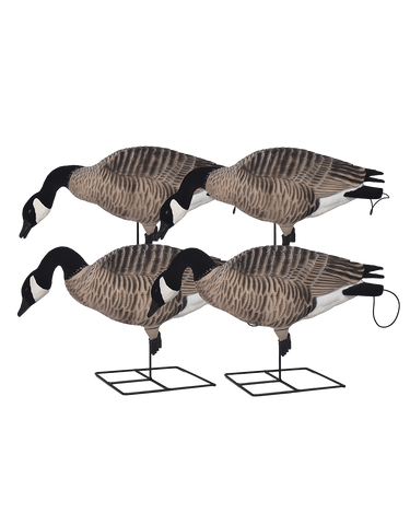 GHG XD FFD Full Body Canada Goose Decoys - Feeder Pack – Banded