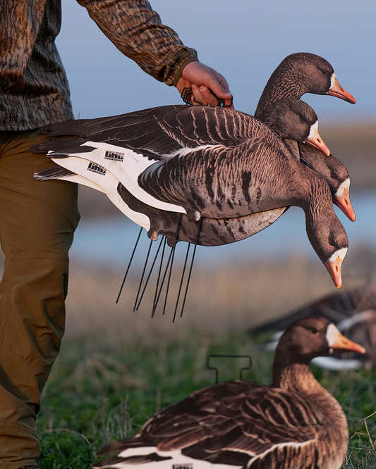 Goose shells top