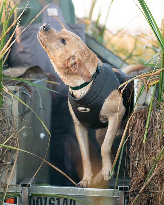 Bottomland top dog vest