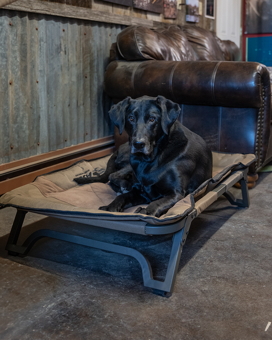 ASD Dog Cot – Banded ASD Dog Cot – Banded