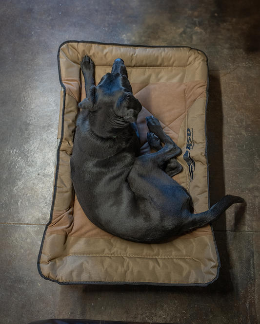 ASD Dog Cot – Banded ASD Dog Cot – Banded