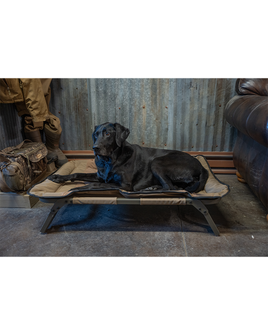 ASD Dog Cot – Banded ASD Dog Cot – Banded
