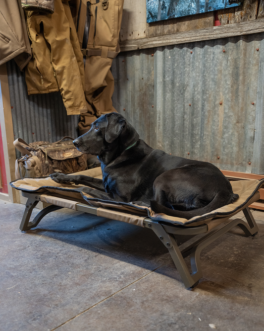 ASD Dog Cot – Banded ASD Dog Cot – Banded