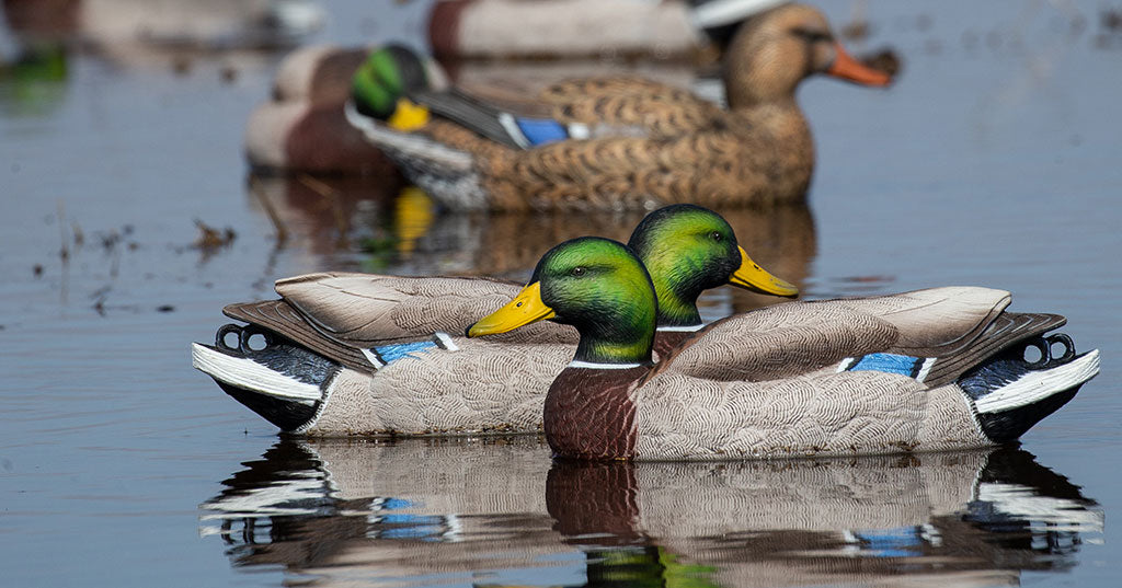 GHG Pro-Grade XD Series Mallard Harvester Pack Decoys – Banded