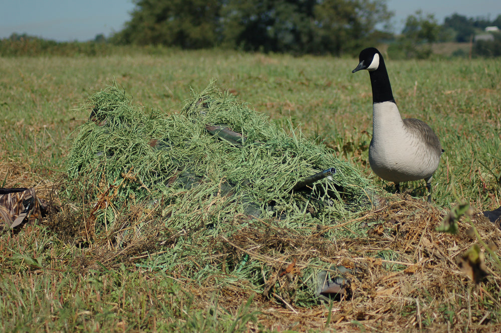Goose deals blind chair