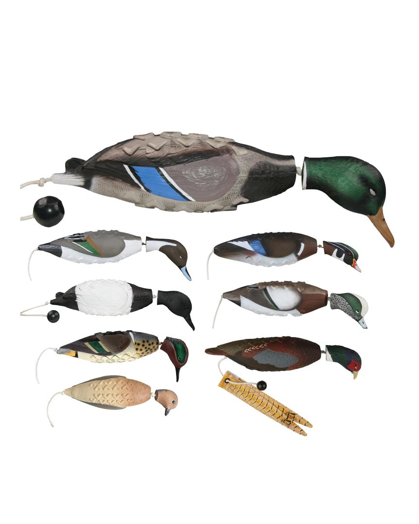 2点set☆Bird Of Prey☆Desert Dazzler 2点set☆Bird Of Prey☆Desert Dazzler 2点set☆Bird Of