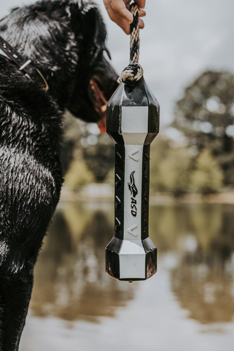PerfectHold HexaBumper by Avery Sporting Dog - Labrador training with flasher bumper