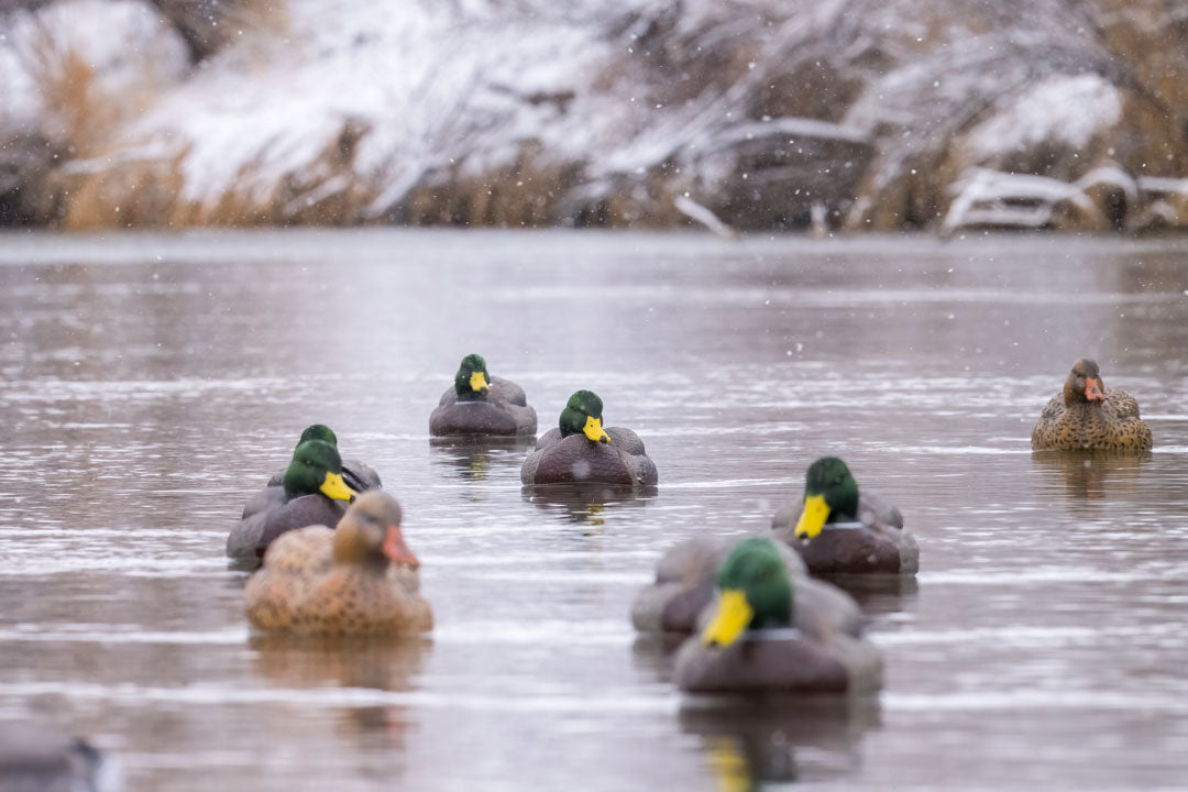 GHG Pro Grade XD Series Mallards With Flocked Drake Heads – Banded