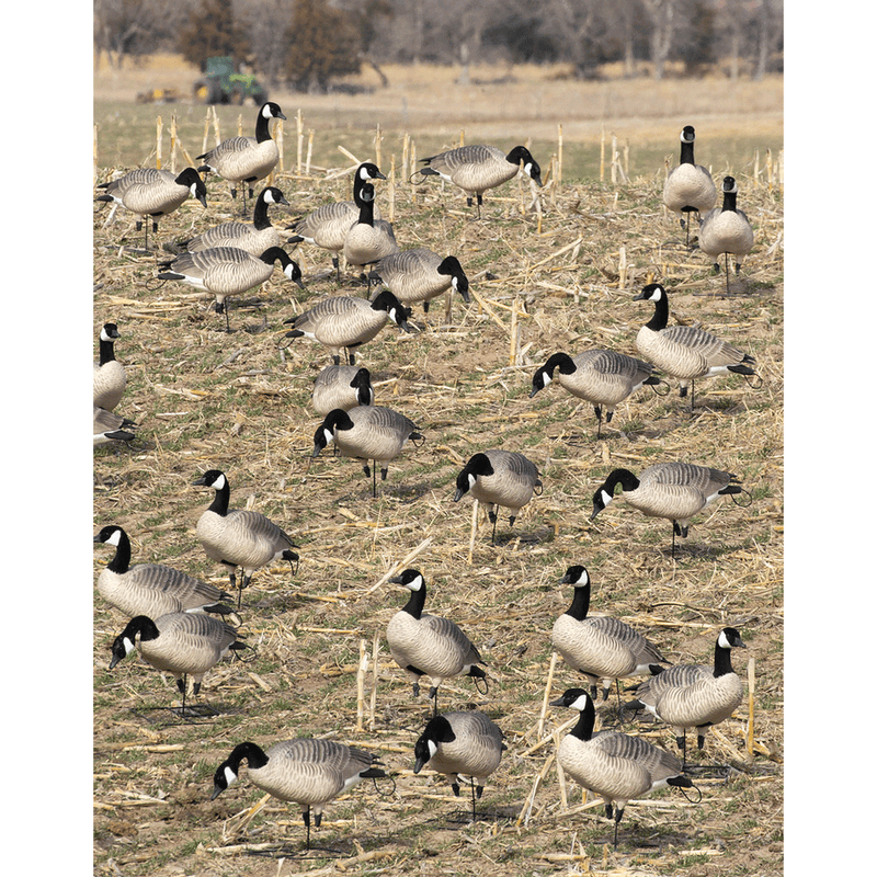 XD Series Honker Enviro Photo by Doug Steinke