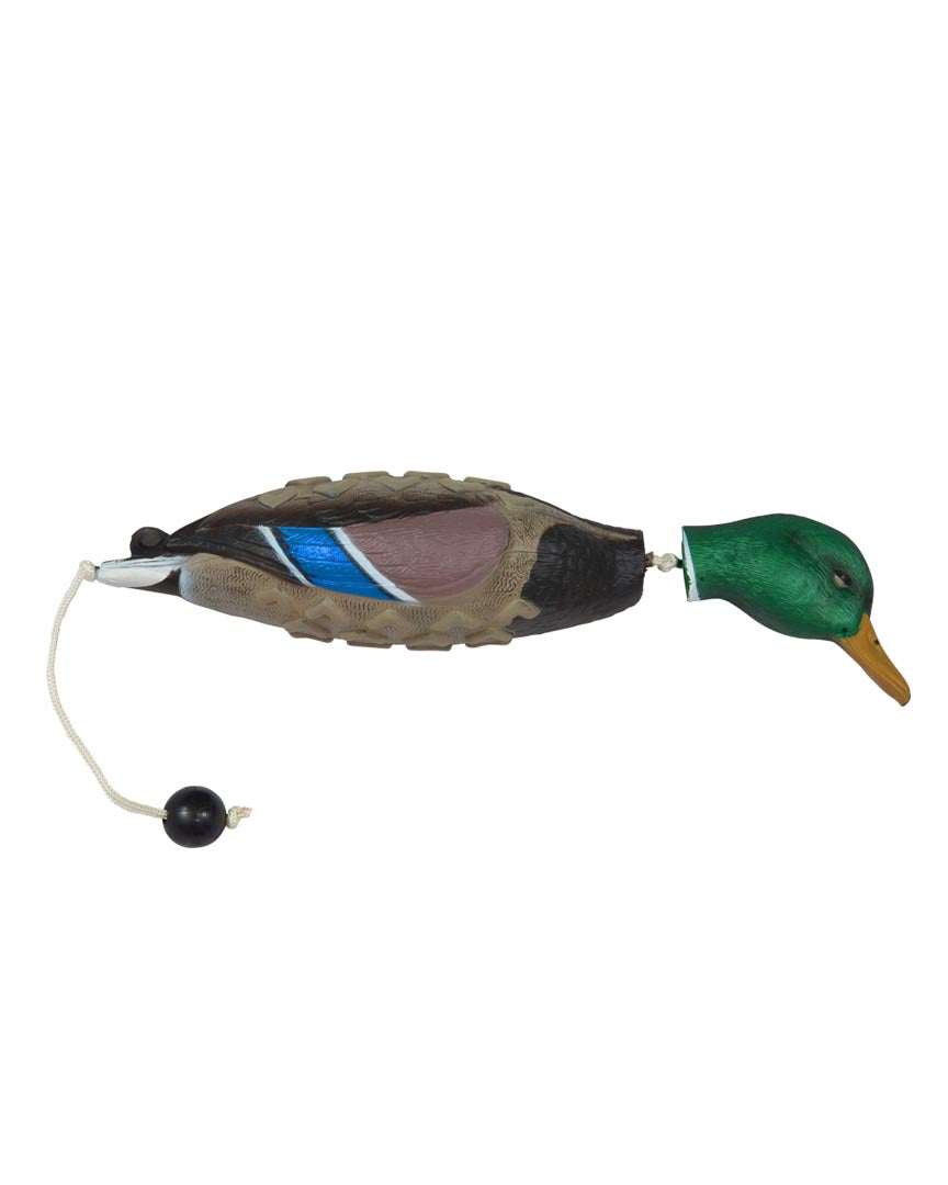 Bird dog training sales tools